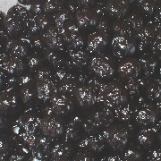 �h���C�t���[�c�y���C���h�u���[�x���[�z